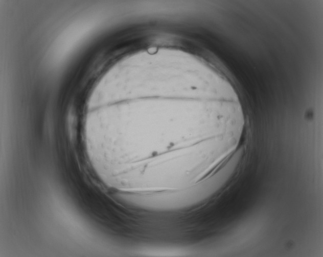 X0000115731151200912241621