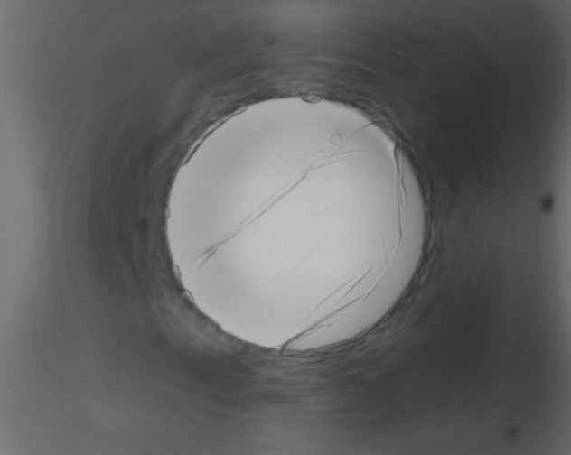 X0000115731153200912241620