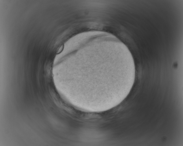 X0000115731154200912241620