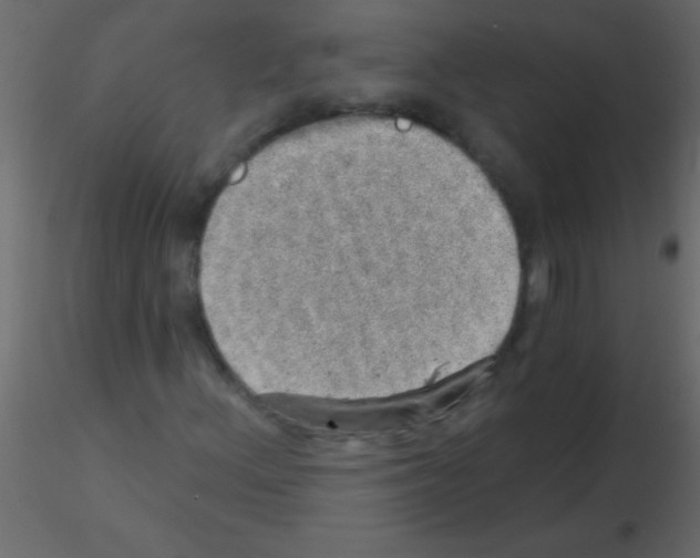 X0000115731156200912241620