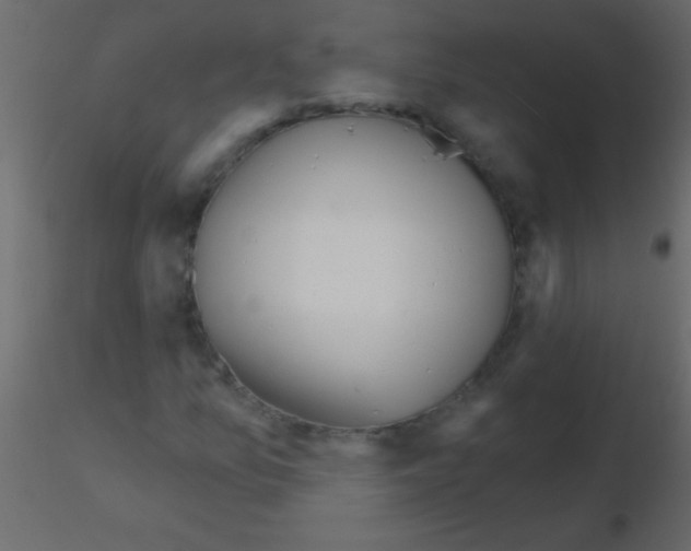 X0000115731157200912241620