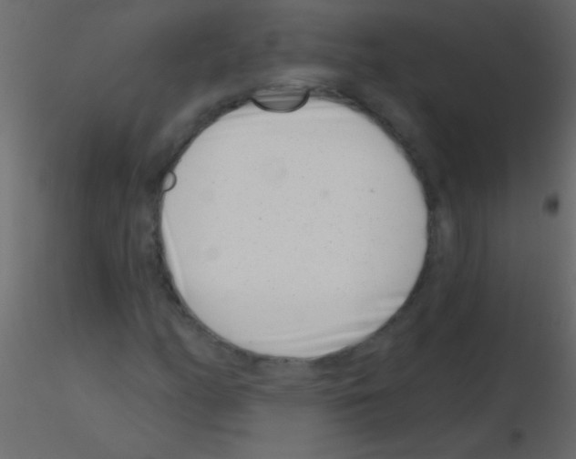 X0000115731158200912241620