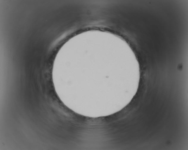 X0000115731159200912241620