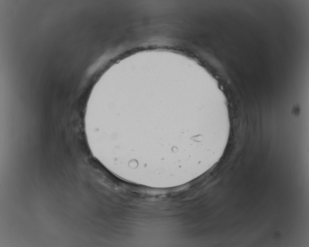 X0000115731160200912241620