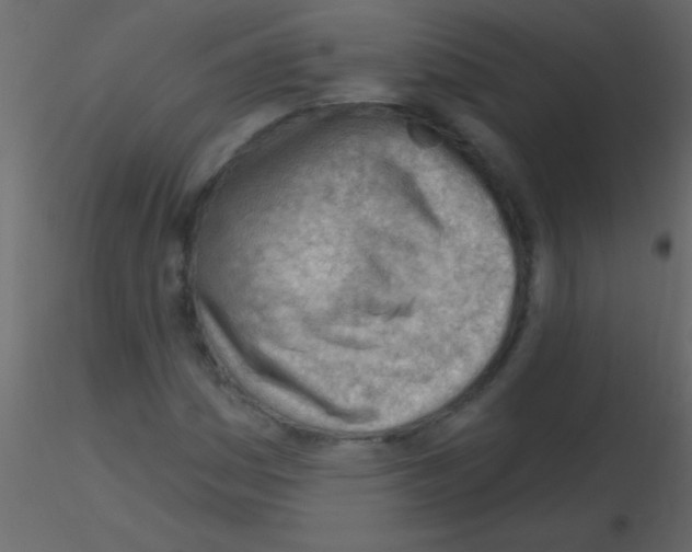 X0000115731161200912241620