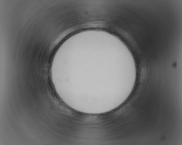 X0000115731162200912241620