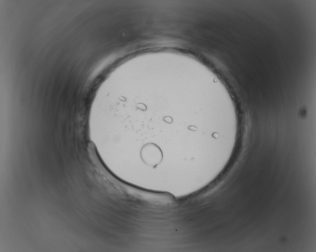 X0000115731163200912241620