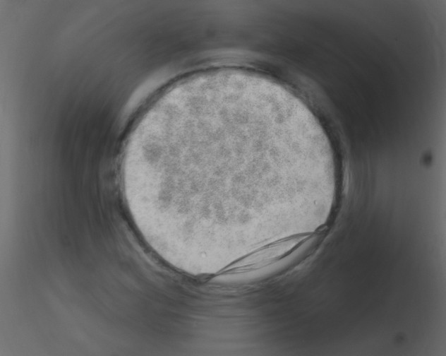 X0000115731164200912241620
