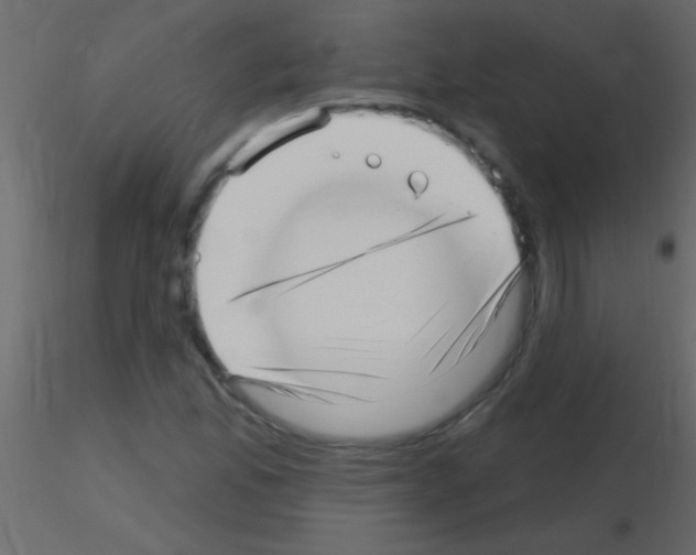 X0000115731165200912241620