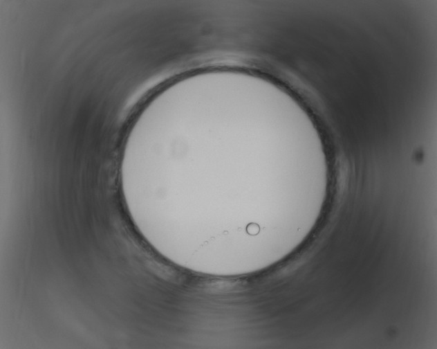 X0000115731166200912241620