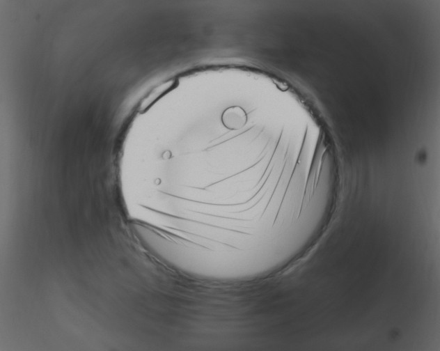 X0000115731167200912241620
