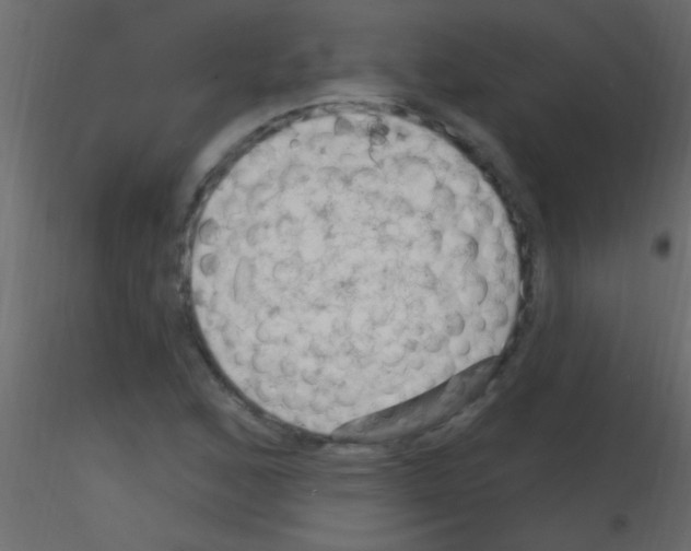 X0000115731168200912241620
