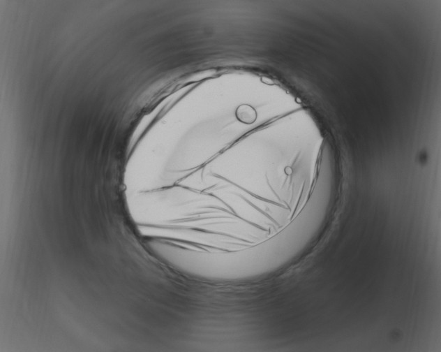X0000115731169200912241620