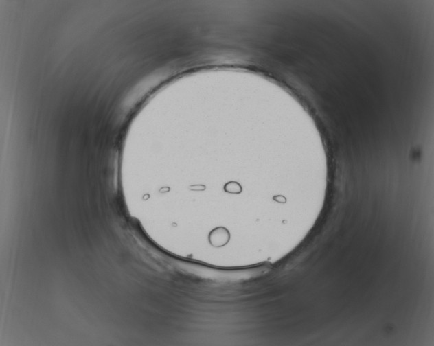 X0000115731171200912241620