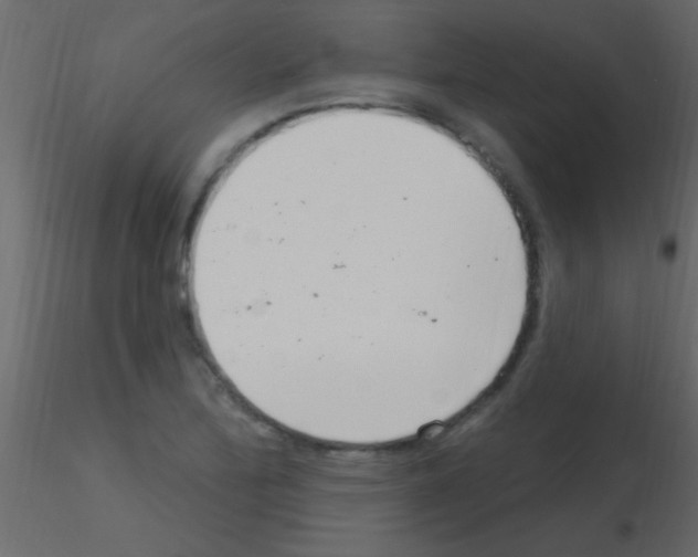 X0000115731172200912241620