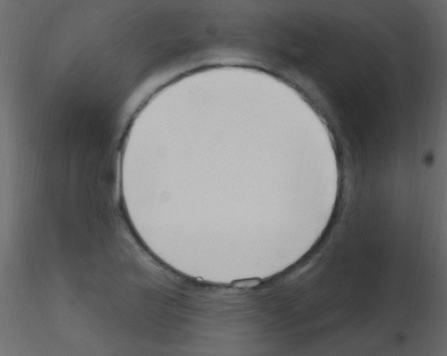 X0000115731175200912241620