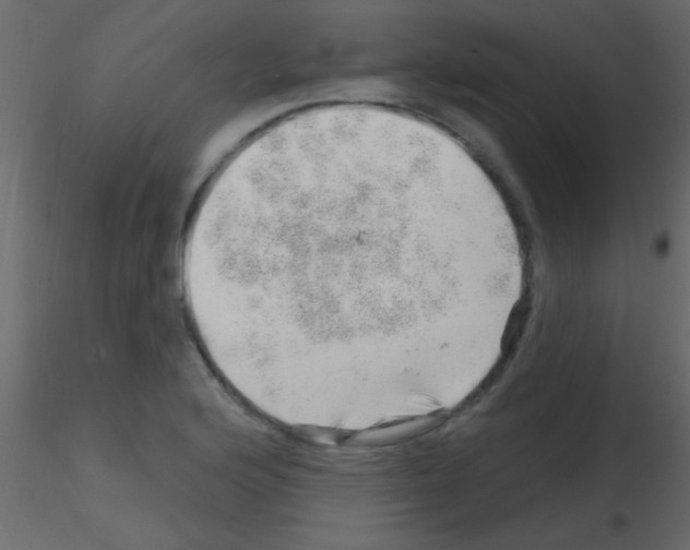 X0000115731176200912241620