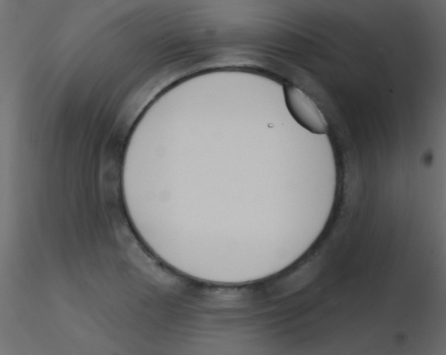 X0000115731177200912241620