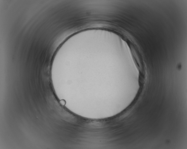 X0000115731178200912241620