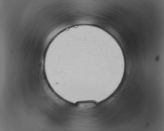 X0000115731179200912241620