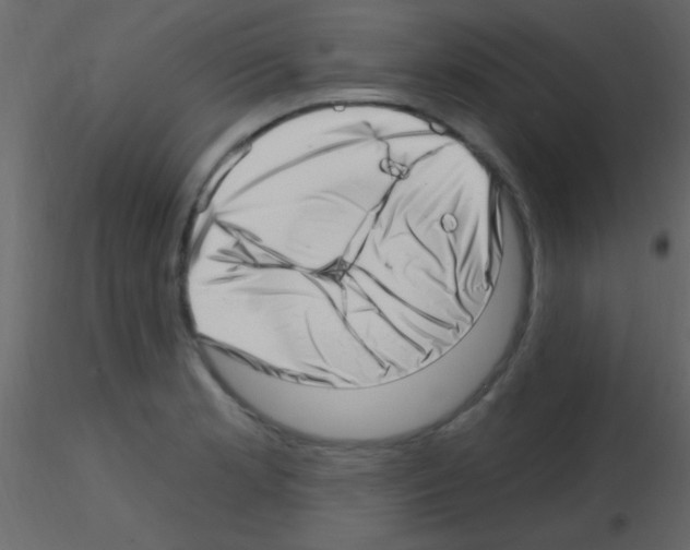 X0000115731181200912241620