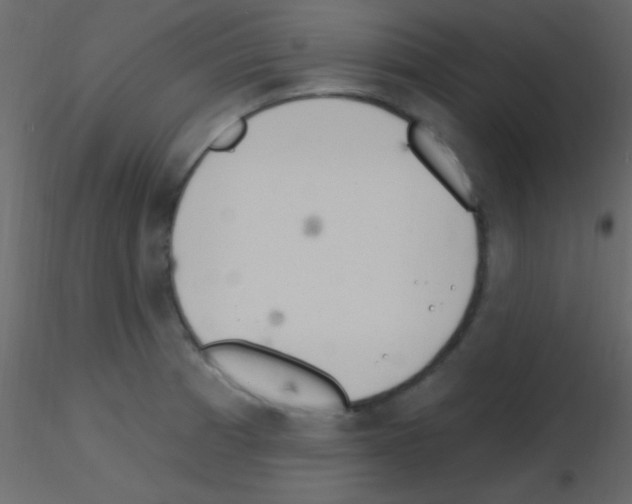 X0000115731185200912241620
