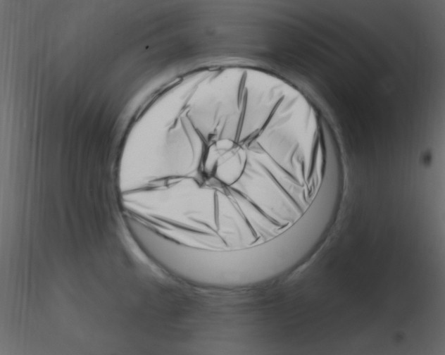 X0000115731189200912241620