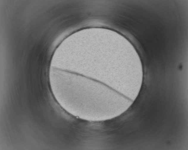 X0000115731191200912241620