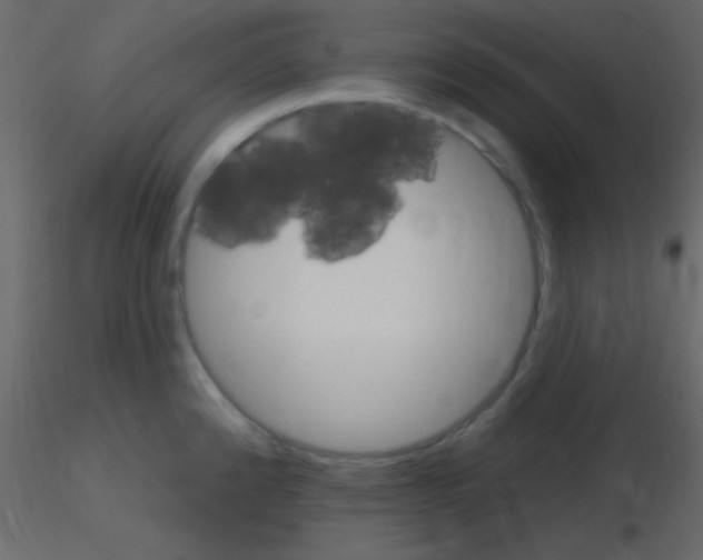 X0000115731192200912241620