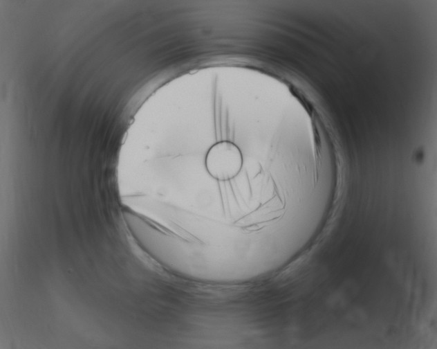X0000115731193200912241620
