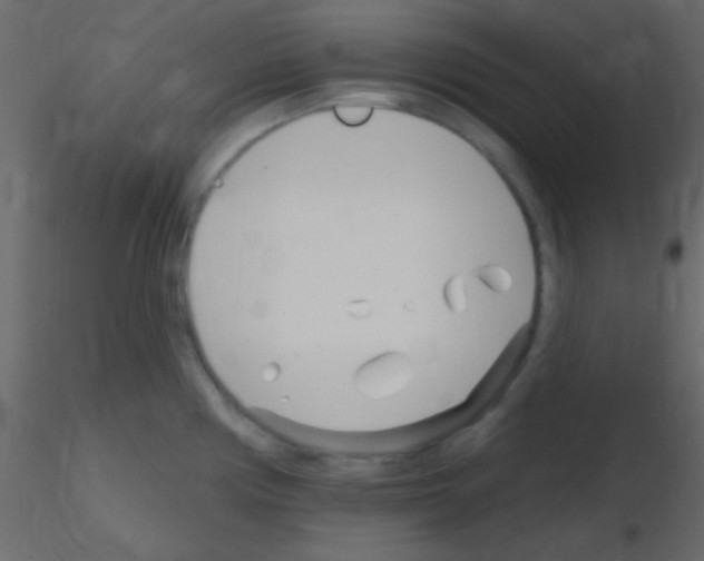 X0000115731194200912241620