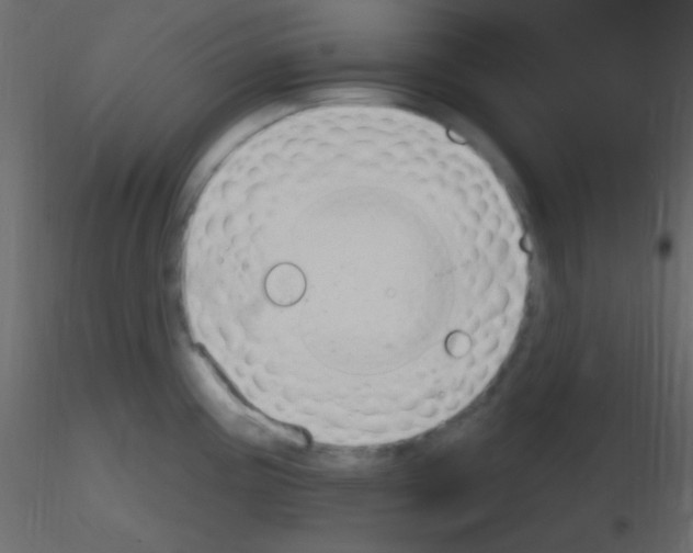 X0000115731195200912241620