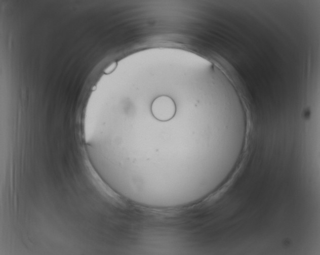 X0000115731196200912241620