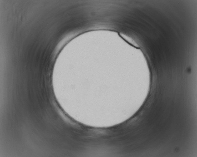 X0000115731197200912241620