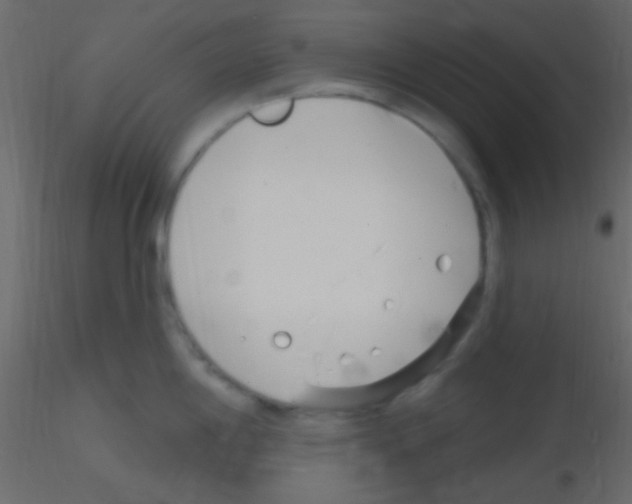 X0000115731198200912241620