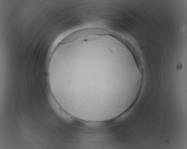 X0000115731200200912241620