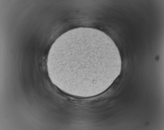 X0000115731202200912241619