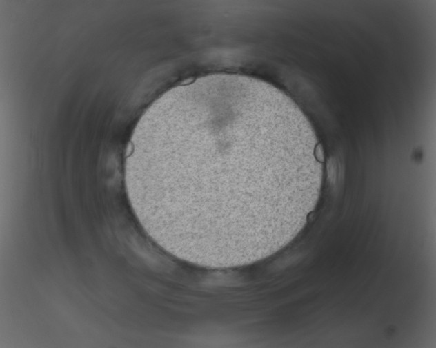 X0000115731203200912241619