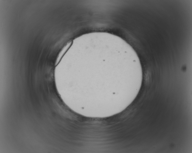 X0000115731204200912241619
