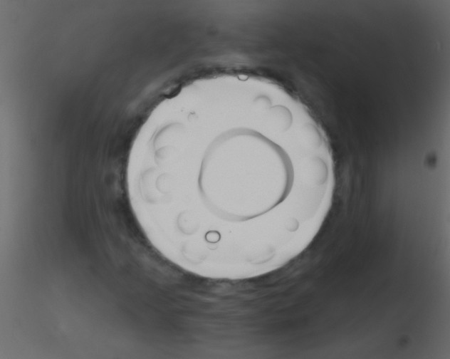 X0000115731205200912241619