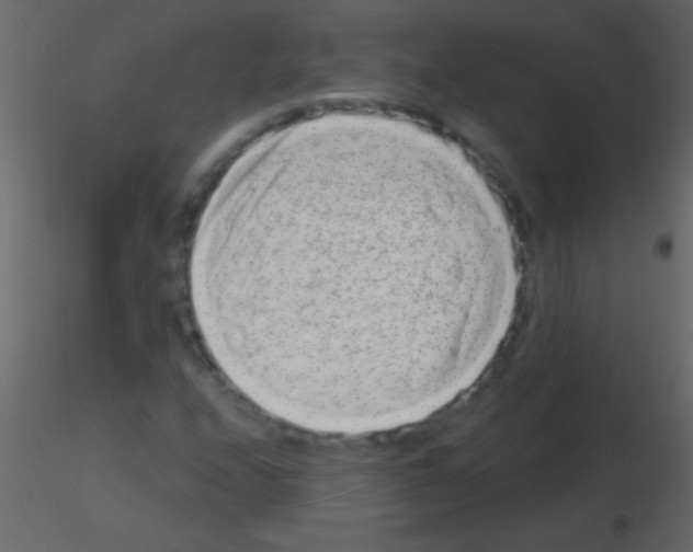 X0000115731208200912241619