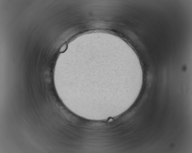 X0000115731209200912241619