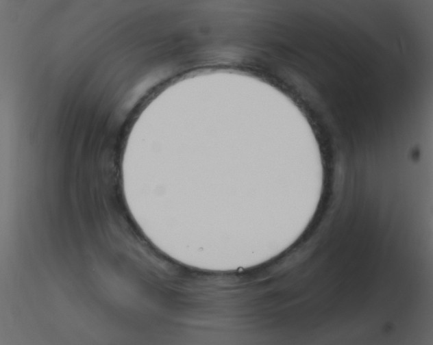 X0000115731210200912241619