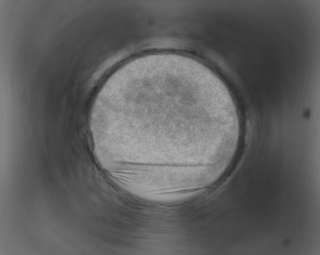 X0000115731213200912241619