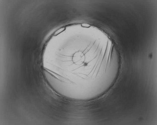 X0000115731216200912241619