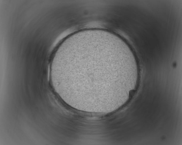 X0000115731219200912241619