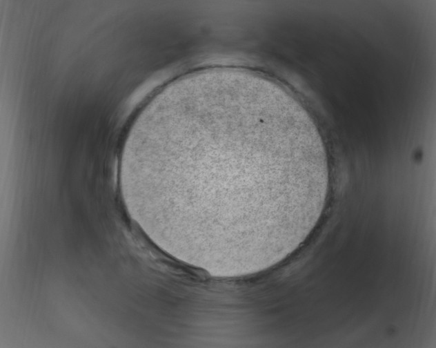 X0000115731221200912241619