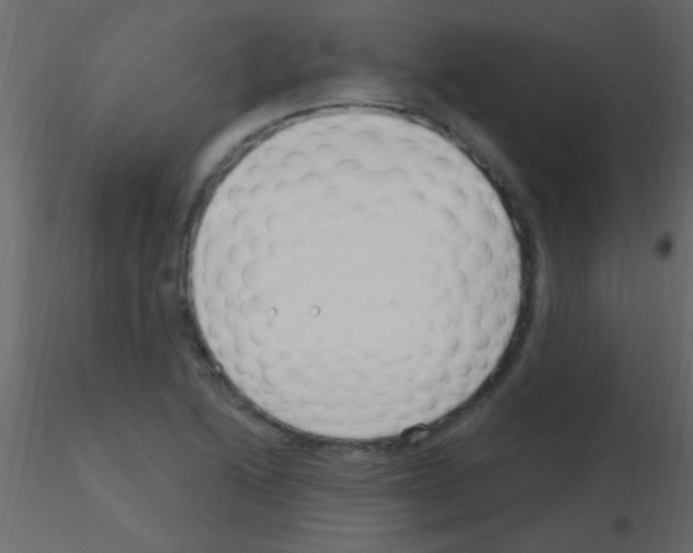 X0000115731222200912241619