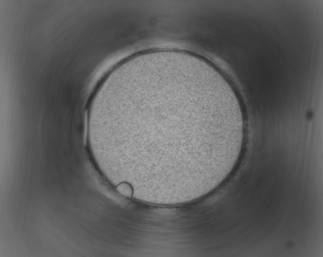 X0000115731223200912241619