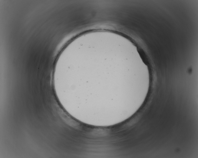 X0000115731224200912241619